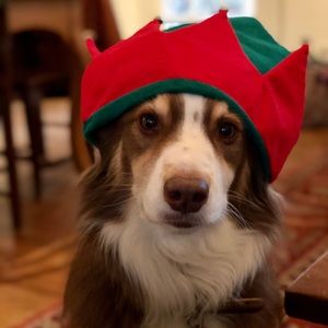 Meet your Posher, Rebekah